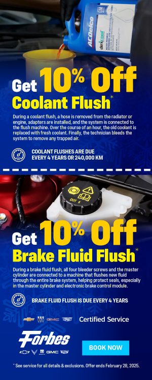Get 10% Off on Coolant and Brake Fluid Flush*